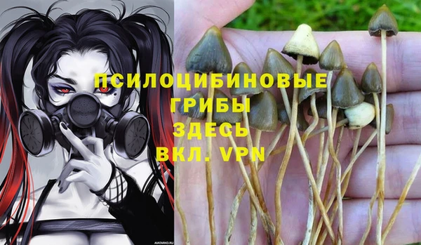 PSILOCYBIN Балабаново