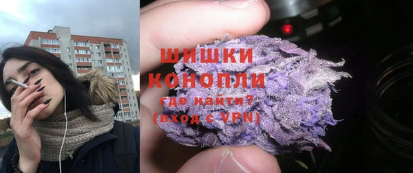 PSILOCYBIN Балабаново